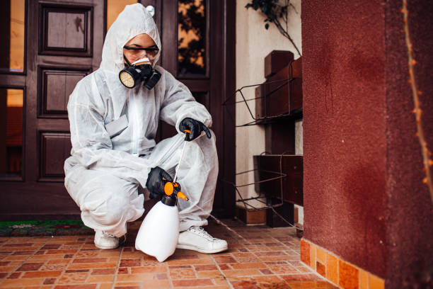 Reliable Wasp Removal contractor in Almedia, PA by Show Me Pest Control